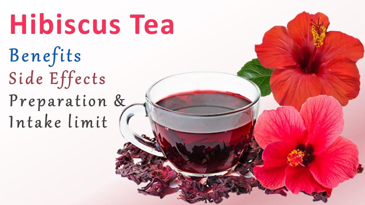 13 Shocking Benefits and Risks From Hibiscus Tea